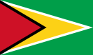 134px-Flag_of_Guyana.png